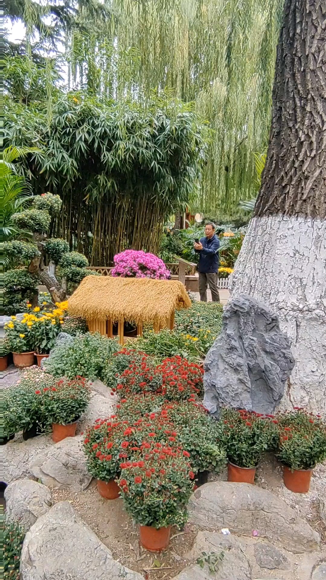 船在水中走，人在花中游。
