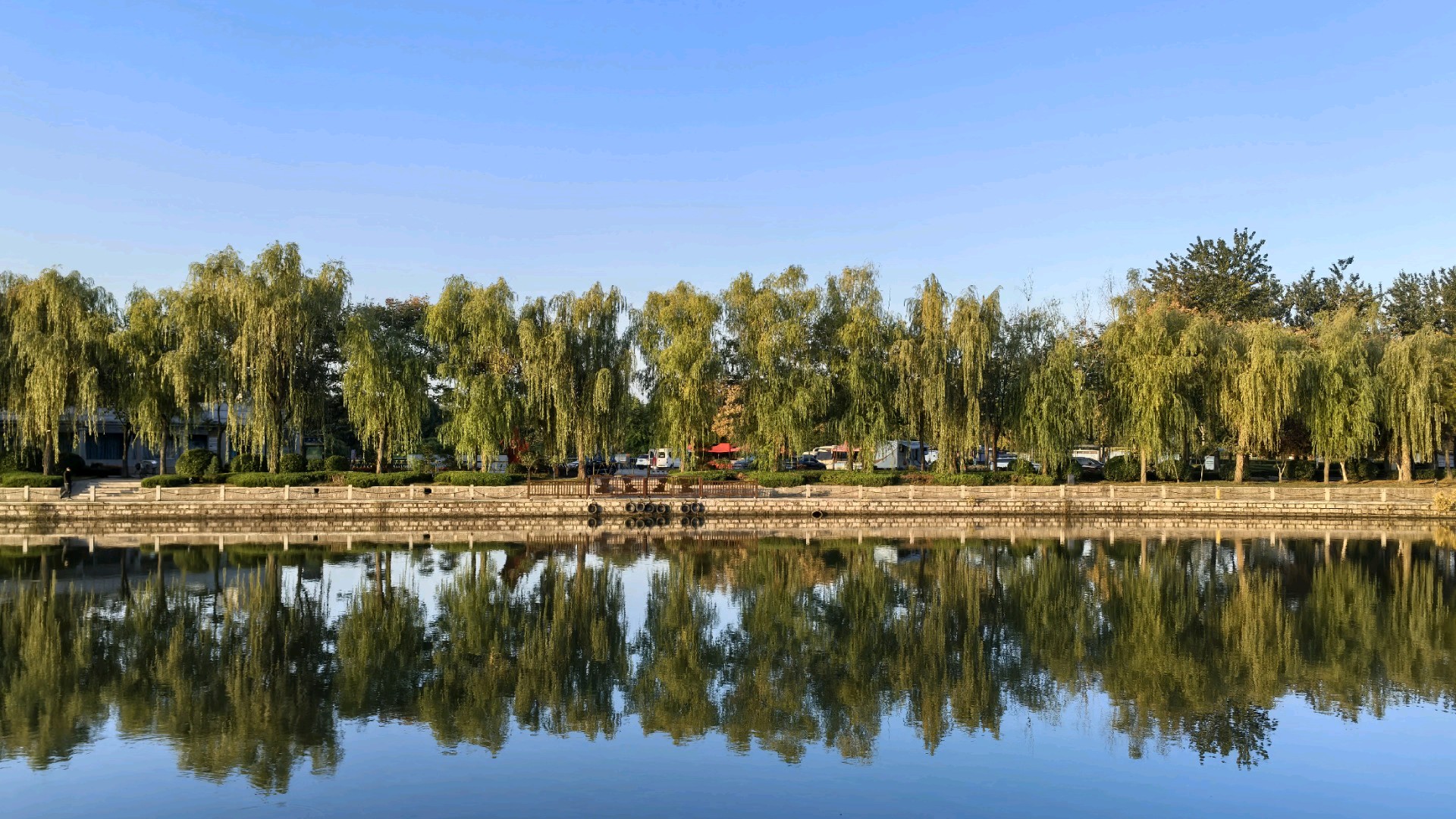 行走发现|台儿庄运河早安，早安里的美丽中国