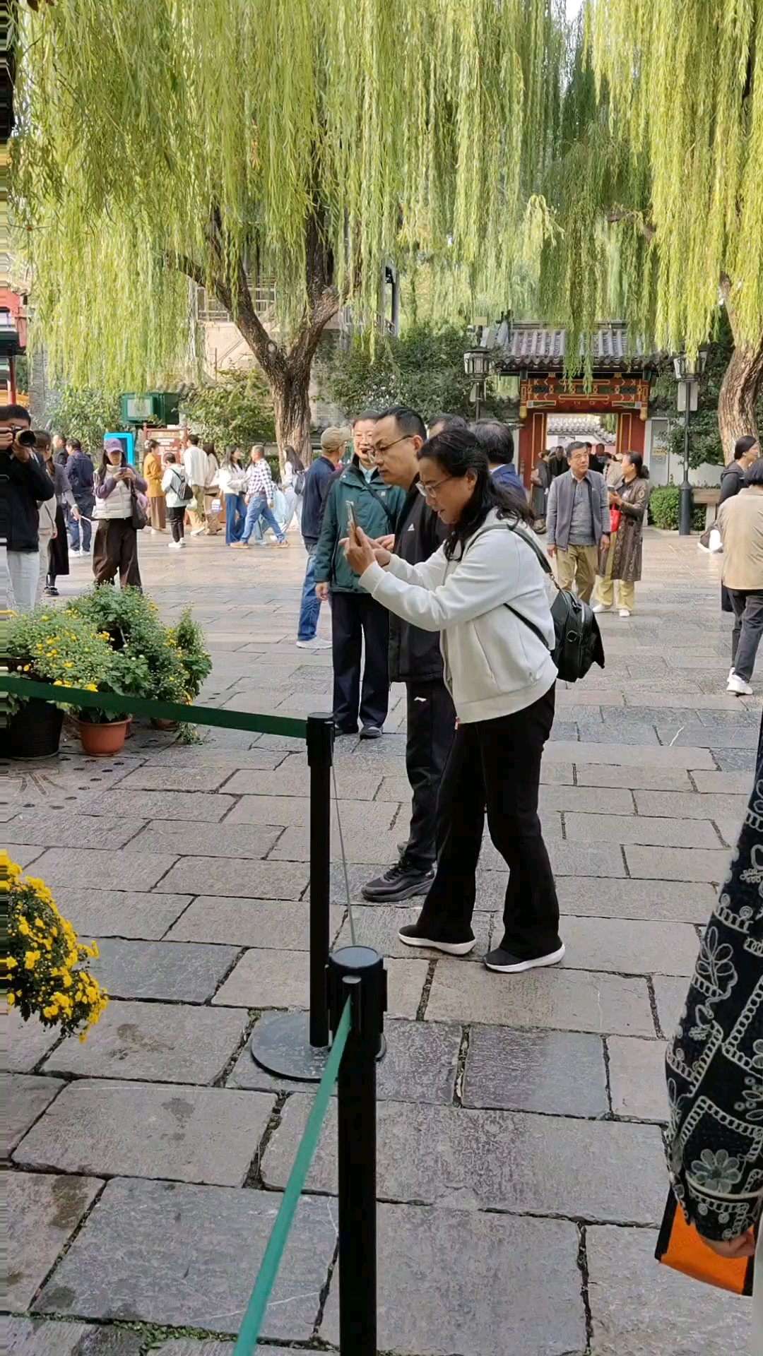 第四十七届金秋菊展
特高特长悬崖菊，闻名遐迩誉泉城。