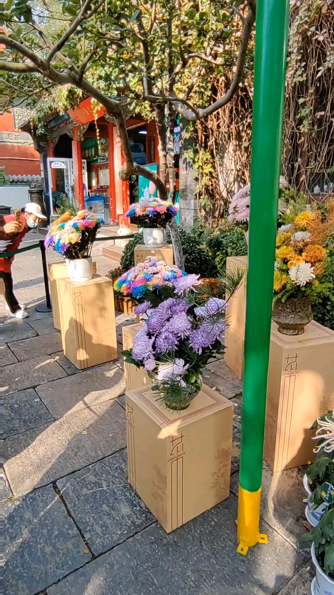 第四十七届金秋菊展
这个展棚很出彩，名菊朵朵花全开。