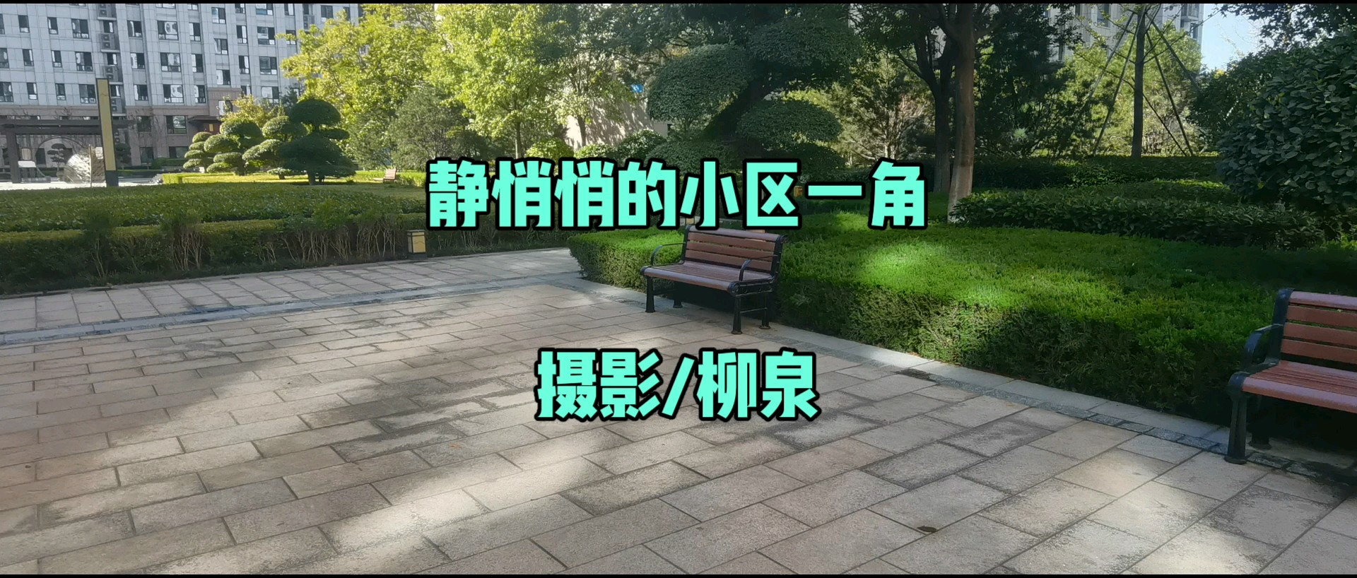 静悄悄的小区一角/摄影/柳泉