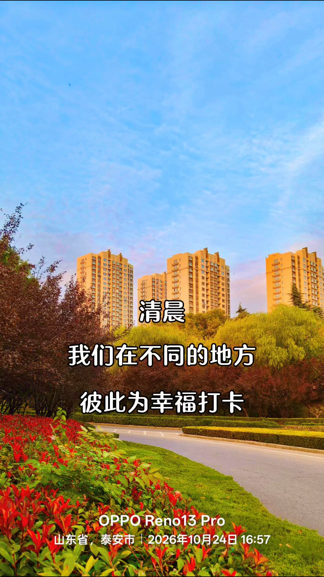 为幸福打卡