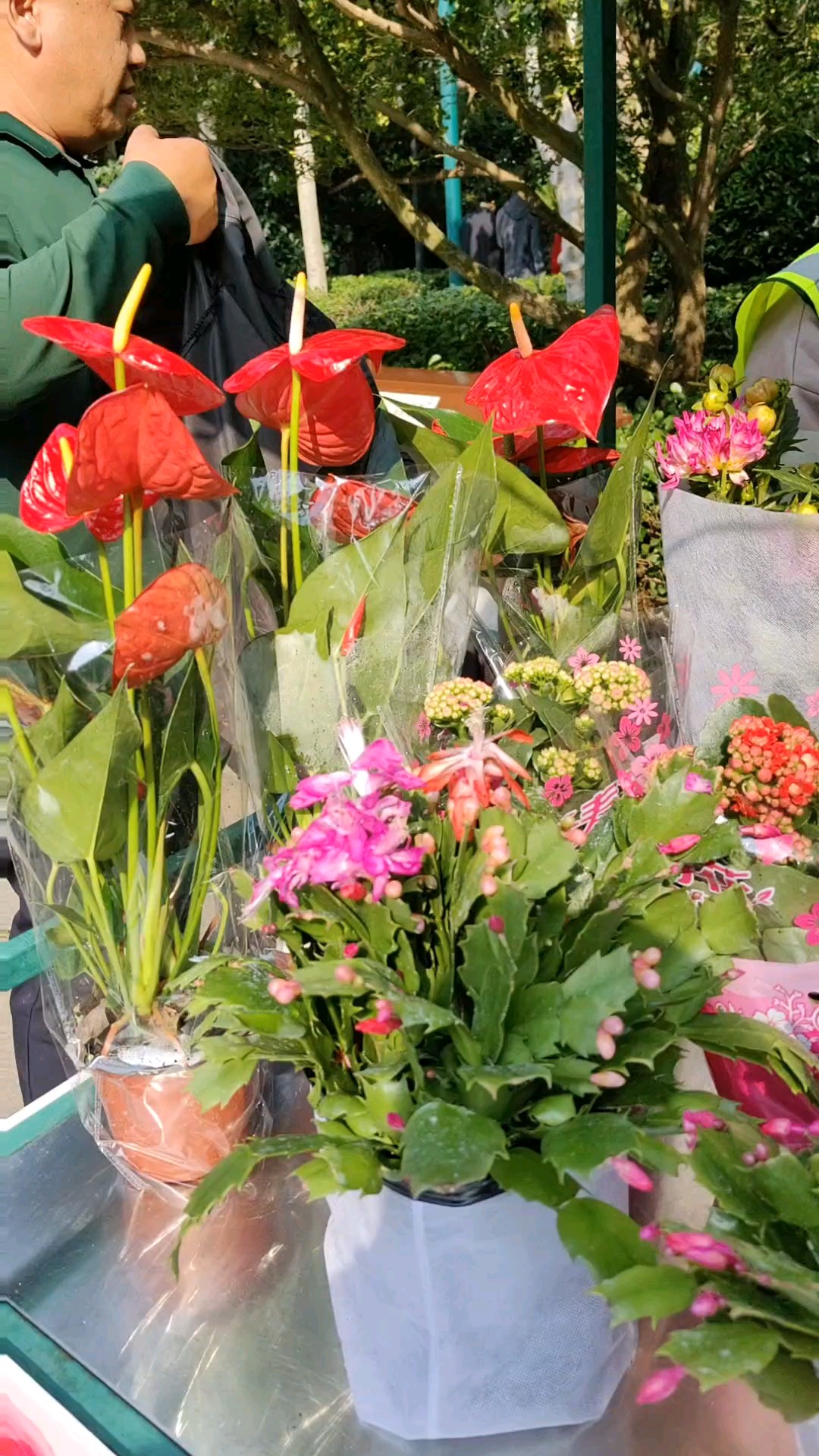 第四十七届金秋菊展
菊展会上售鲜花，买盆真爱带回家。