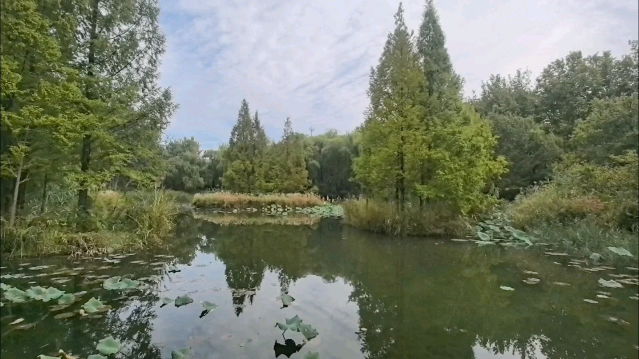 森林公园“美景如画”，是济南西部的综合性城市公园！