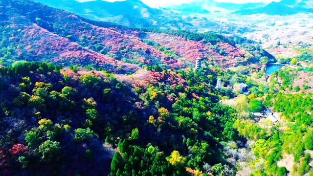 看万山红遍，层林尽染！