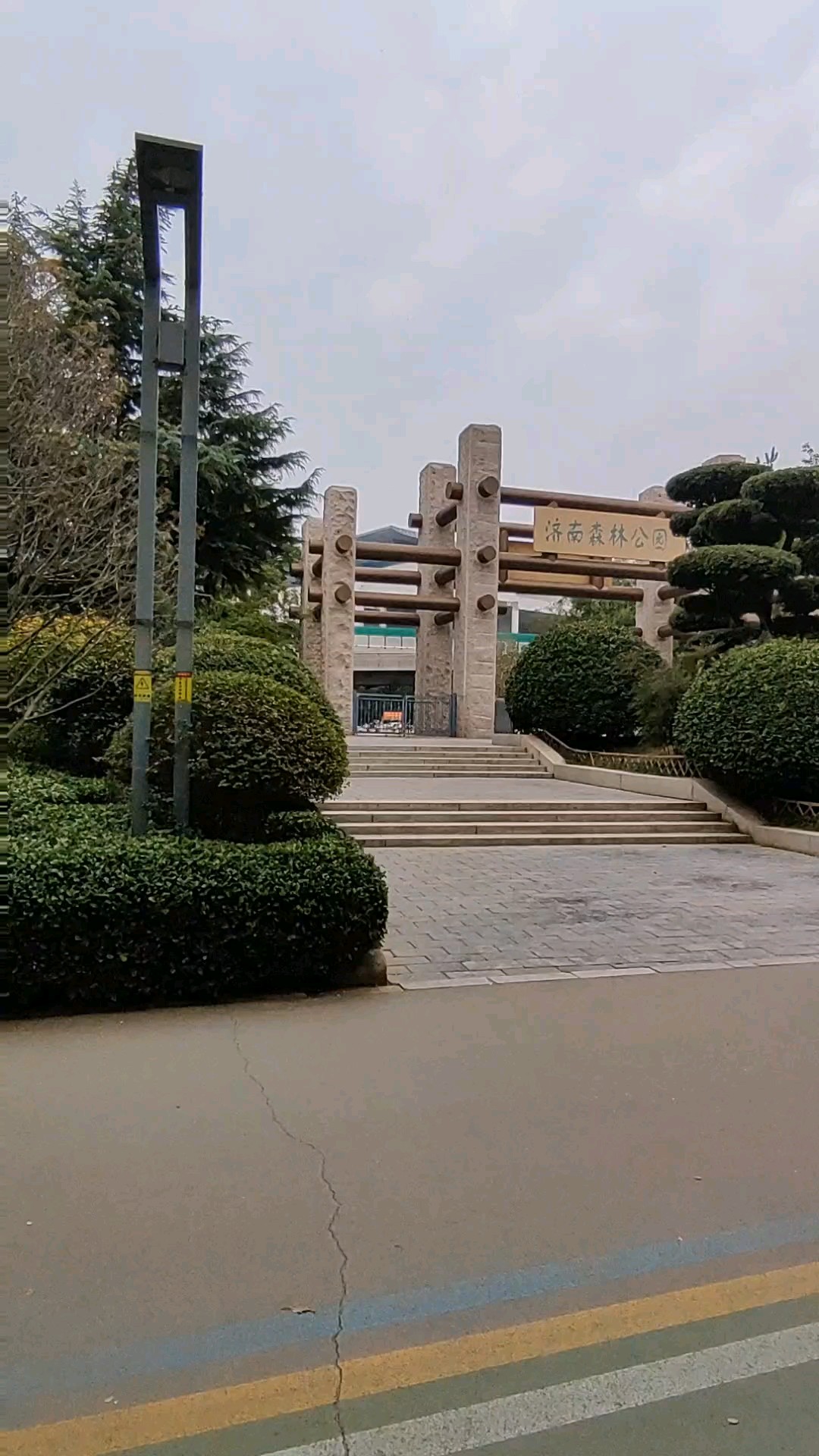林中鸟、路上人。