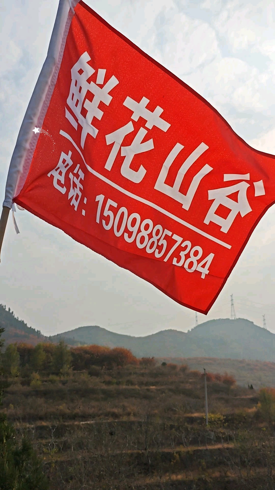 鲜花山谷荡秋千，美景迷人！