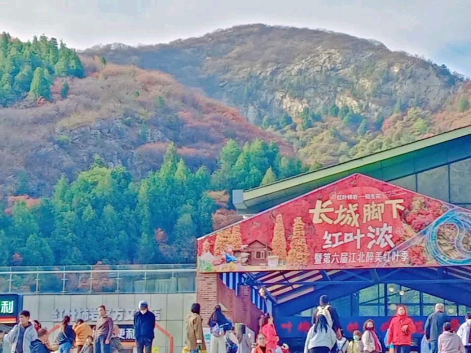 齐长城下红叶浓，四海宾朋柿岩同