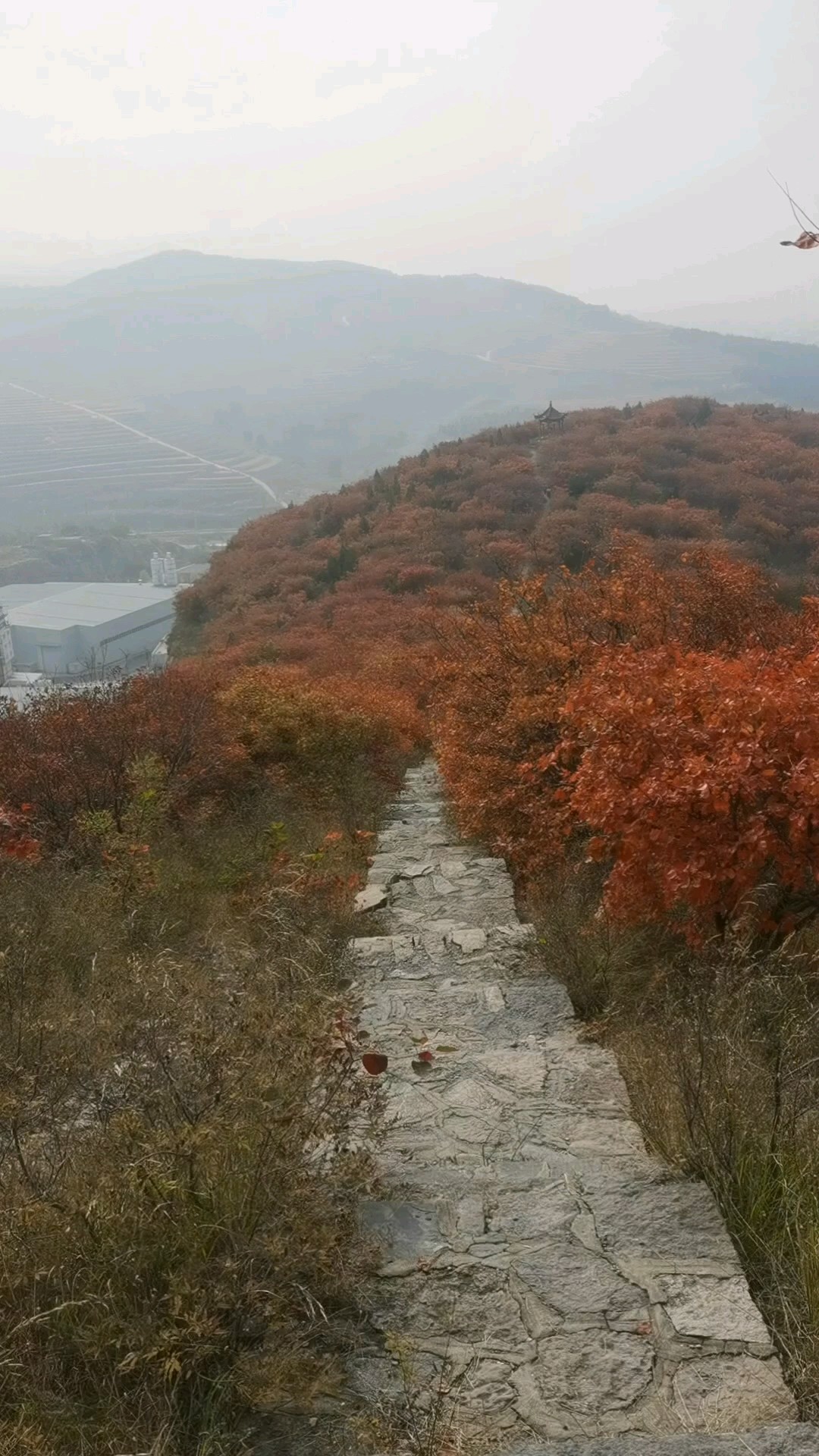 文祖山的红叶，美得让人陶醉！