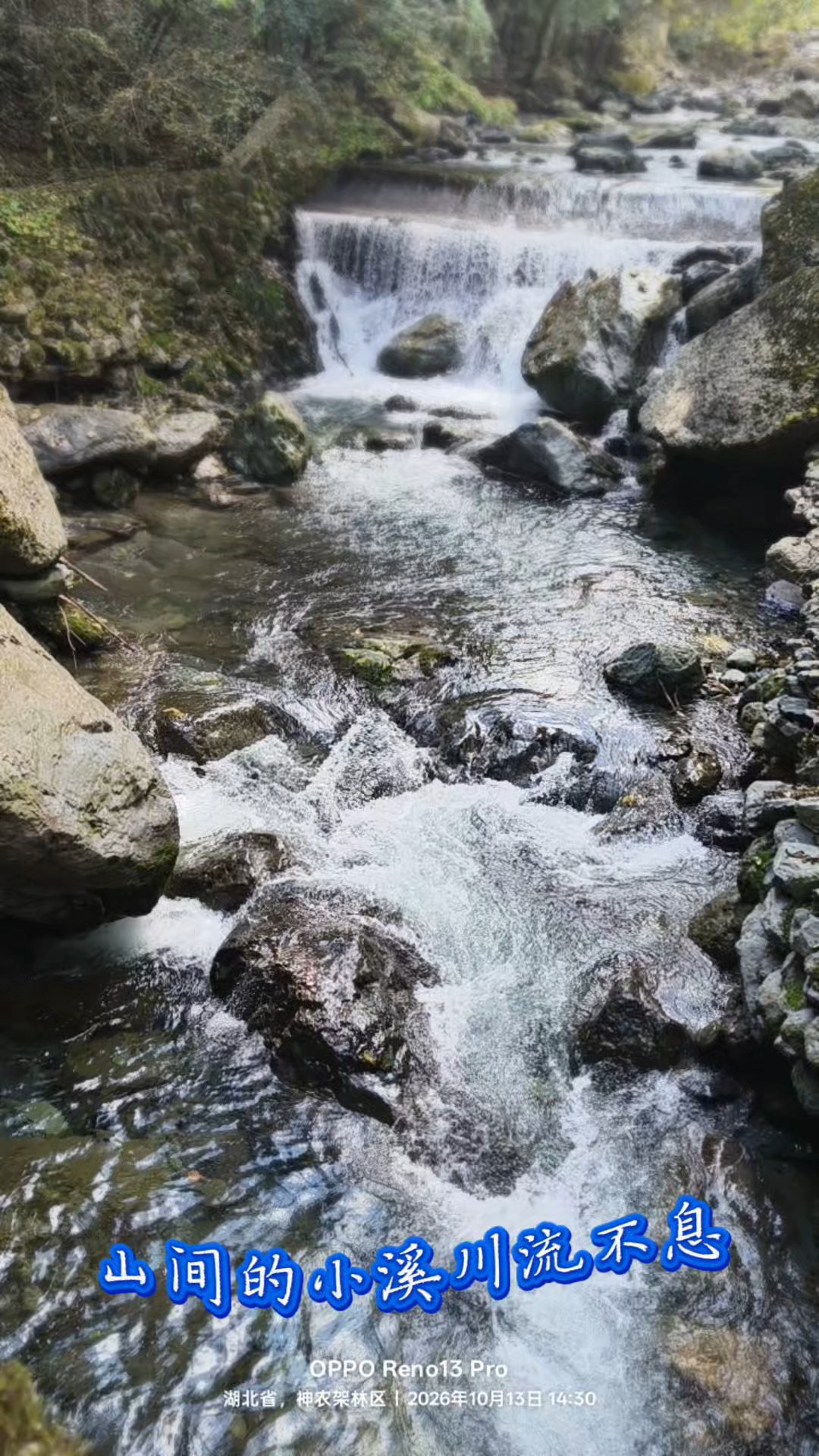 林间小溪水潺潺