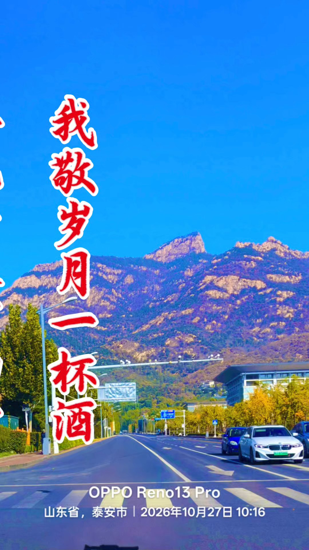 我敬岁月一杯酒