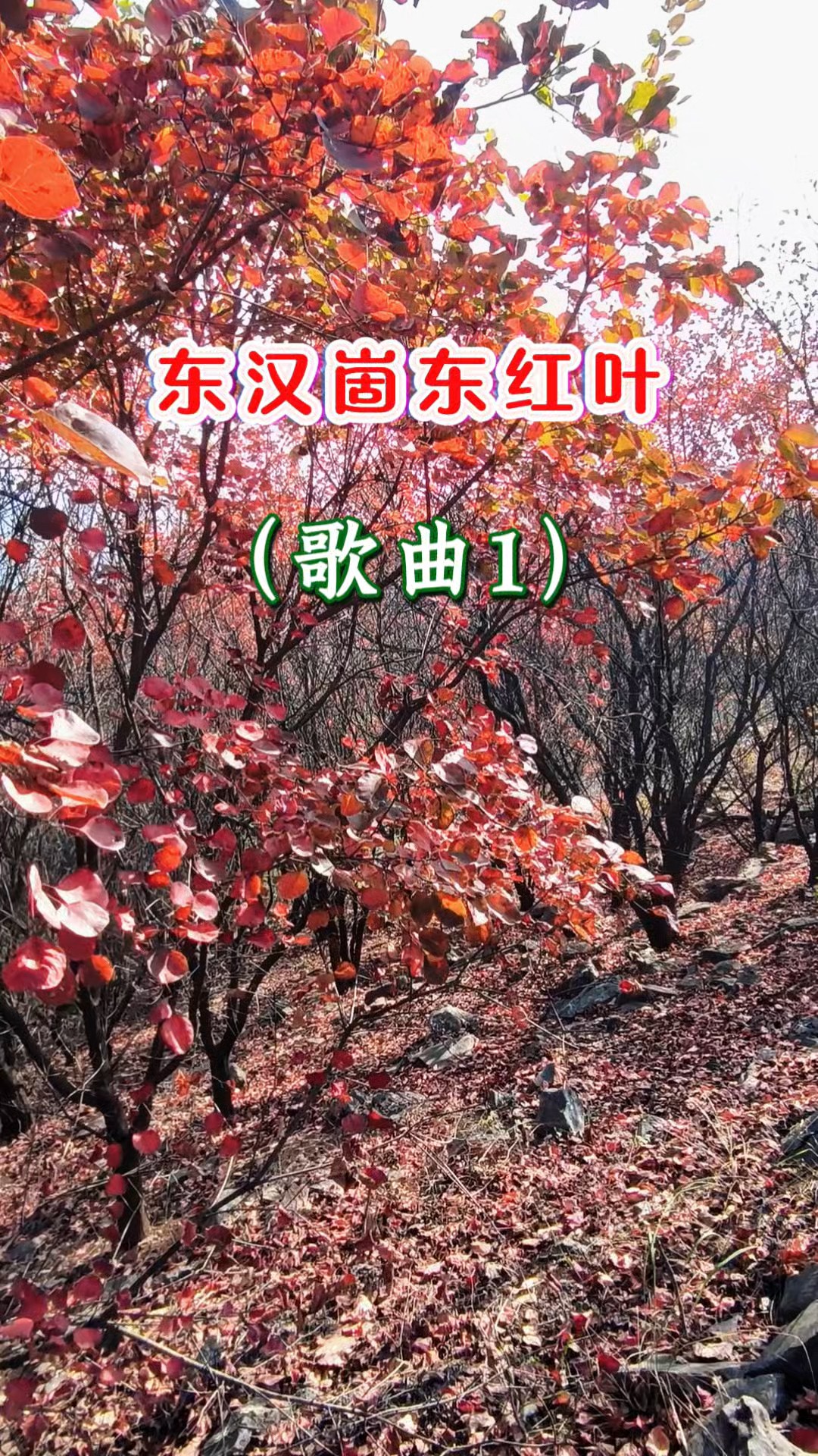原创歌曲《东汉崮东红叶》/李春晓创作