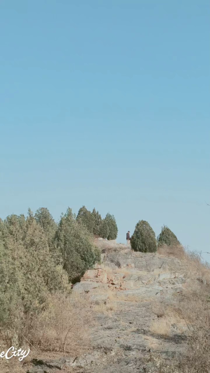 岁月忽已晚  人间已是秋