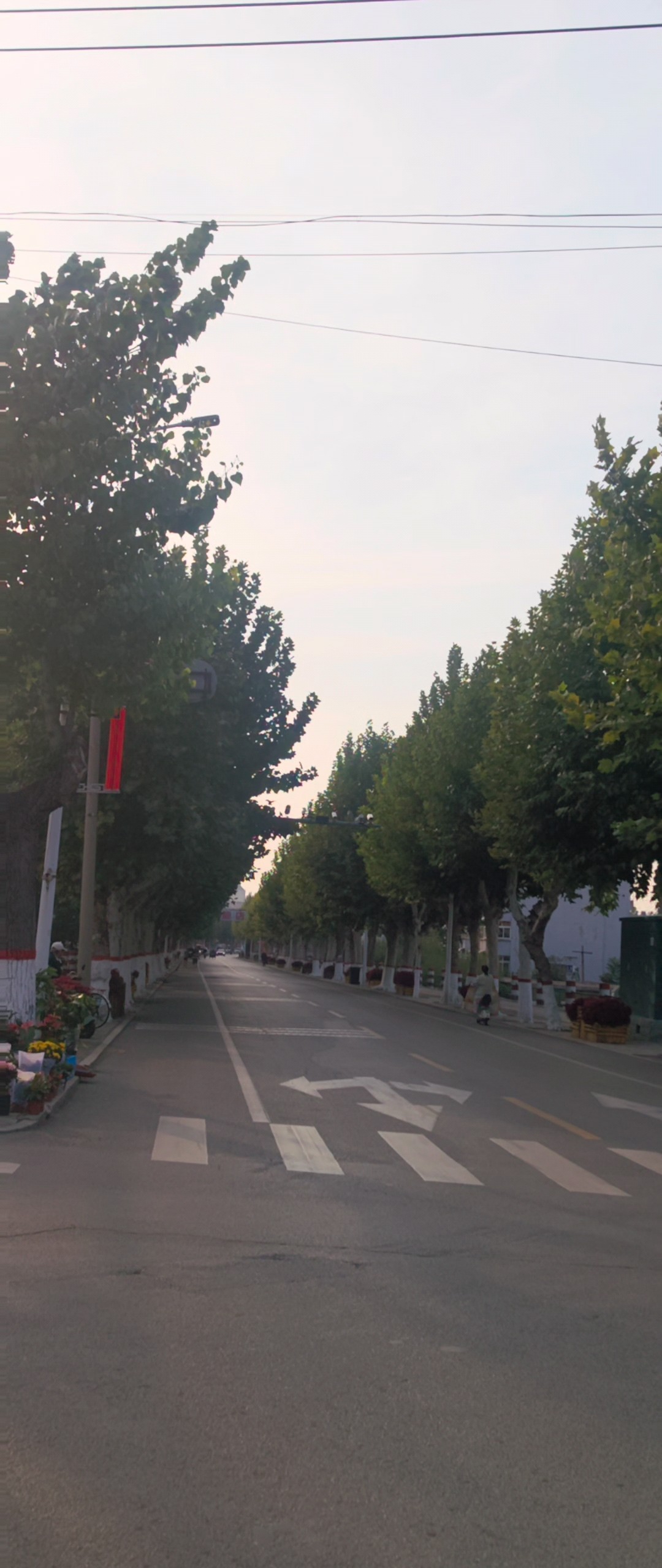 乔羽为鲍店煤矿的题词:“光和热的故乡”成为亮丽的文化名片