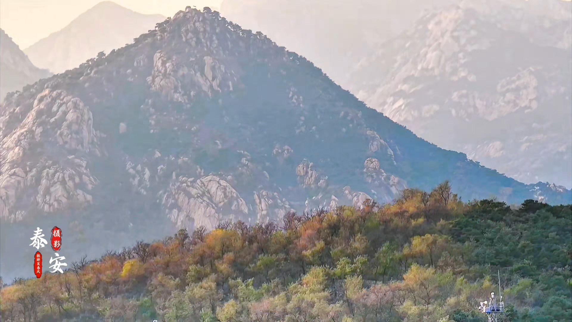 泰山山脉,漫山红枫,黄栌与苍松交织色彩斑斓如画卷/亓永国