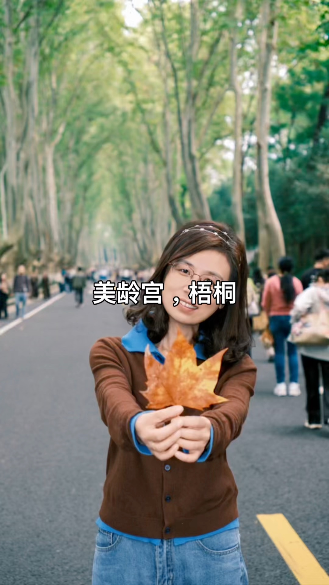 山东人在南京看梧桐｜美龄宫｜愚人如我写诗歌，上帝创造一棵树