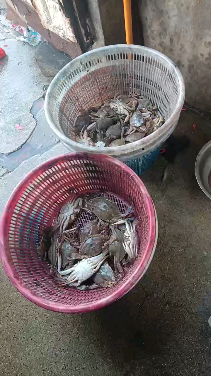 今日渔货，每天一趟西渔港就是为了掌握海产品行情，自然买的不少
