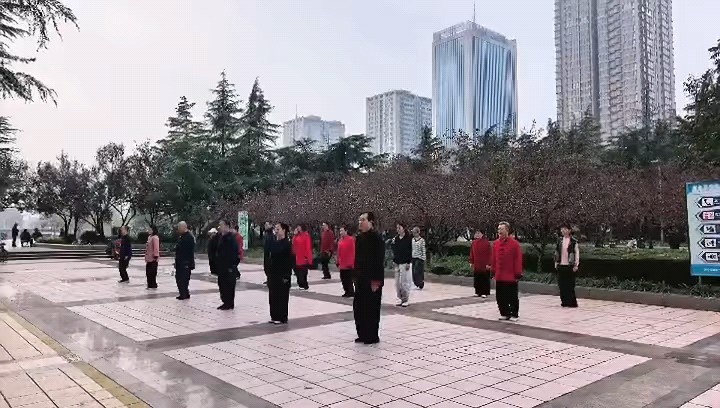 陈氏太极传承表演剪影‖济宁孙文革