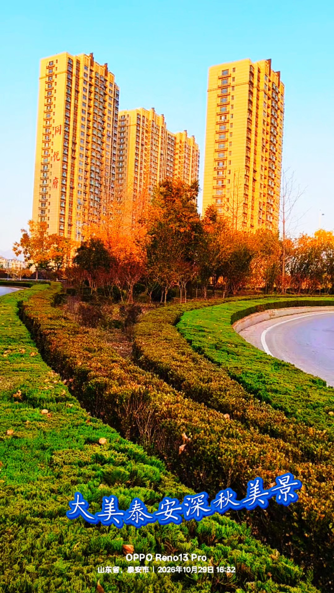 深秋美景.美不胜收