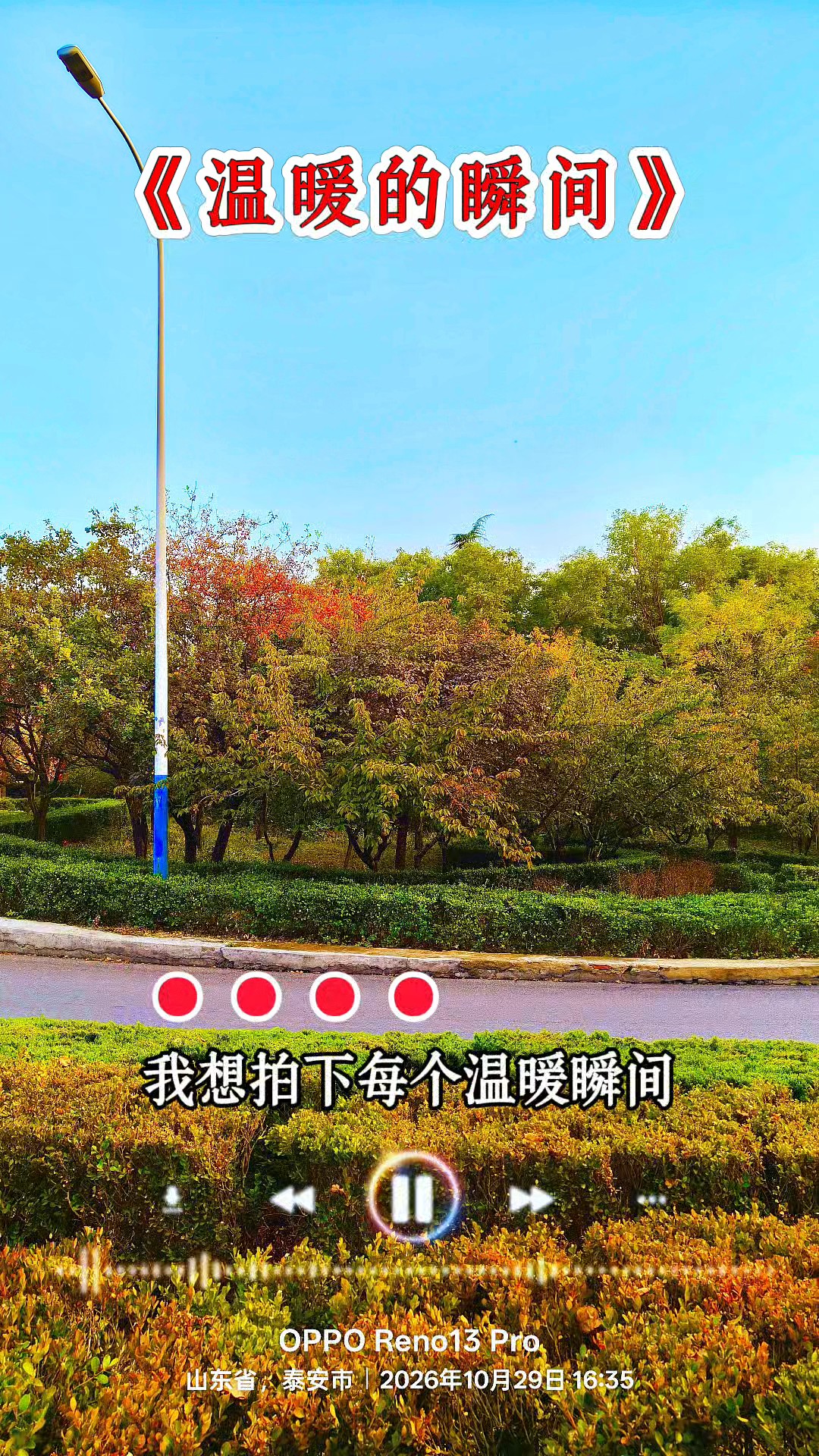 拍下温暖的瞬间