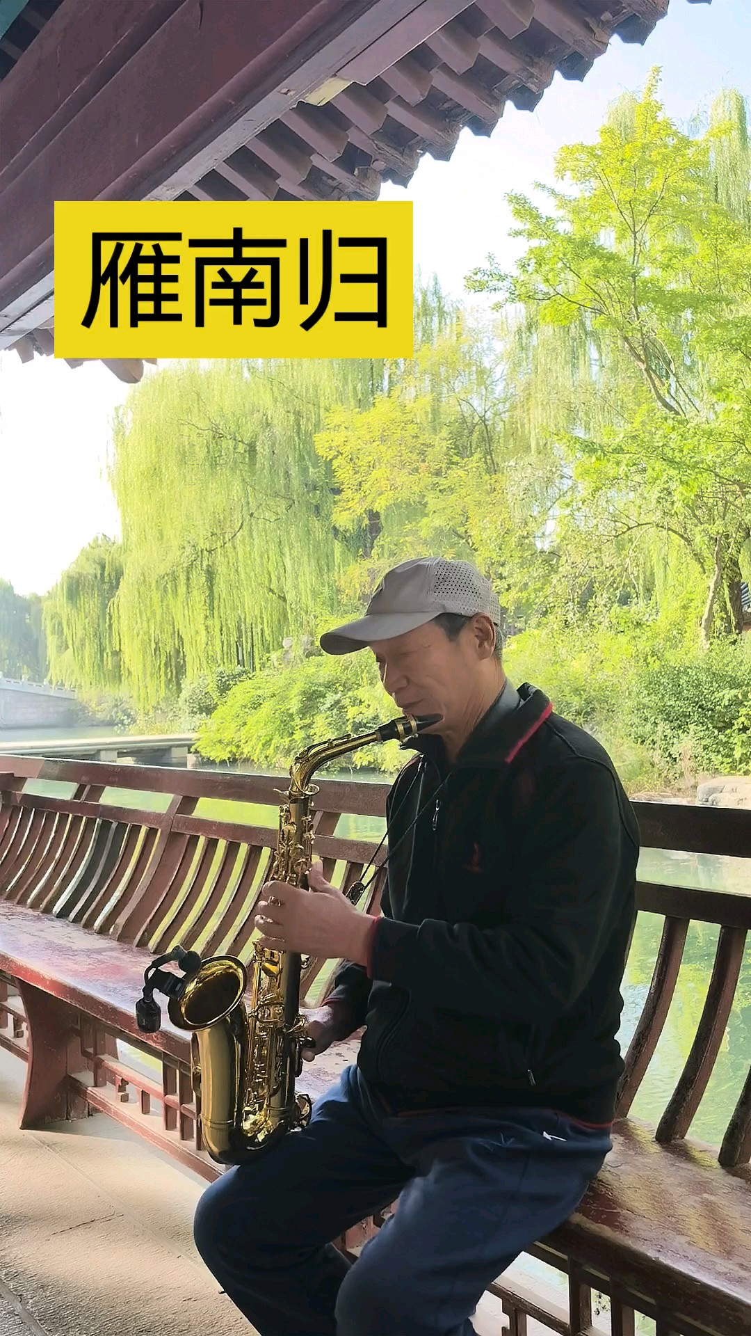 雁鸣声声碎，遥待春来归/曲：雁南飞