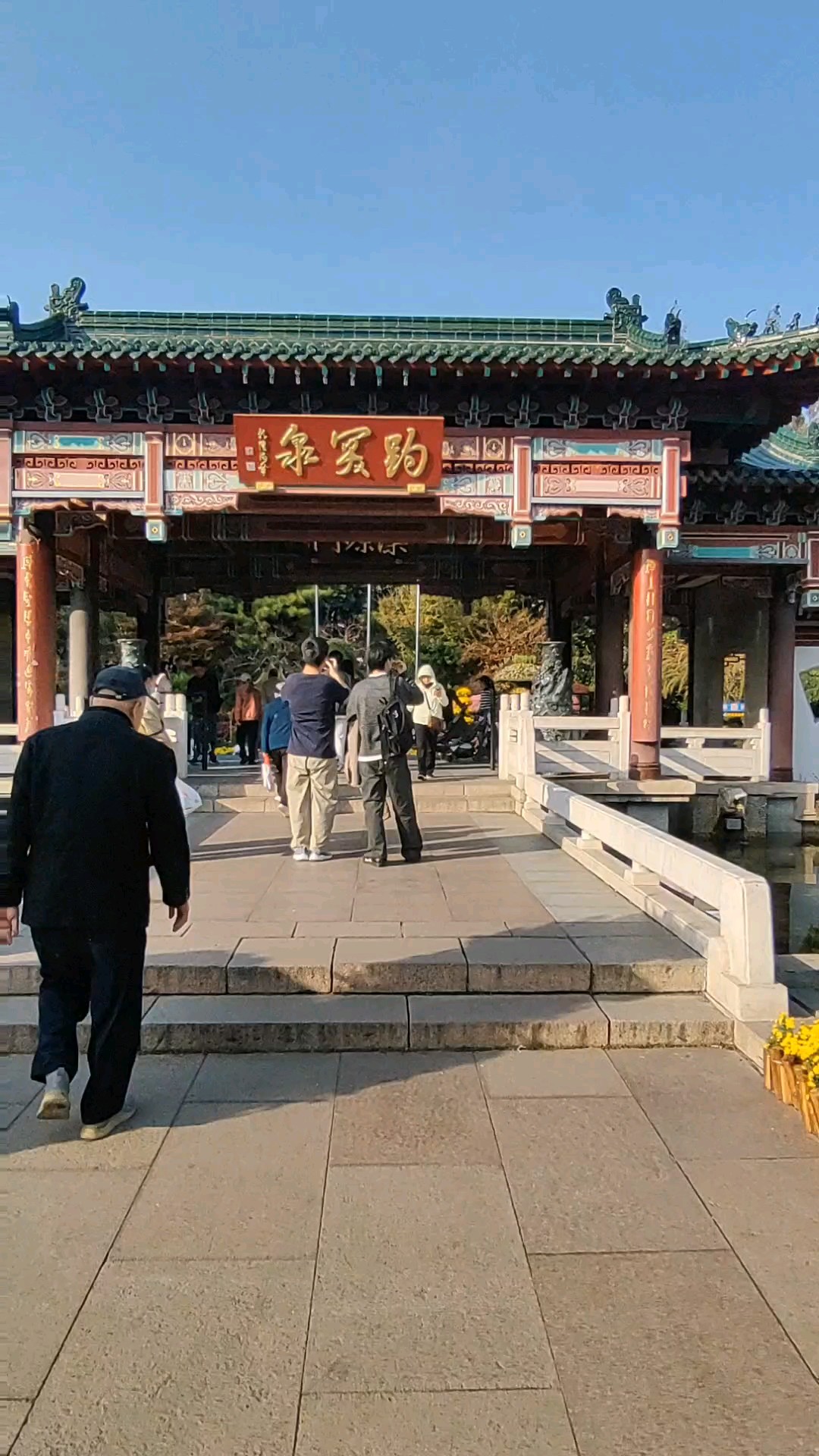 金龙飞腾。