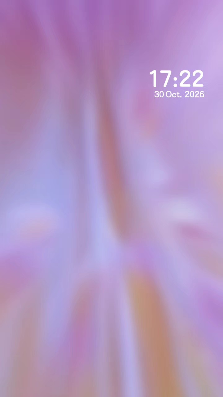 秋日的美，藏在缓缓盛开的菊花里