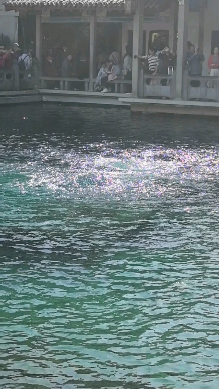 “趵突泉水叮咚”，把泉城济南的魂儿都点出来了！