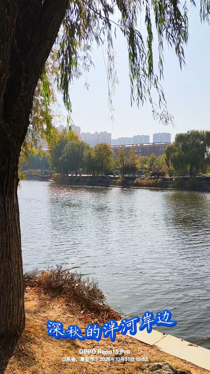 深秋的泮河岸边美景