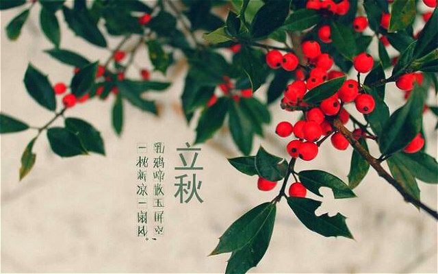 立秋寒气将至未至也是一年中最富诗意的时刻