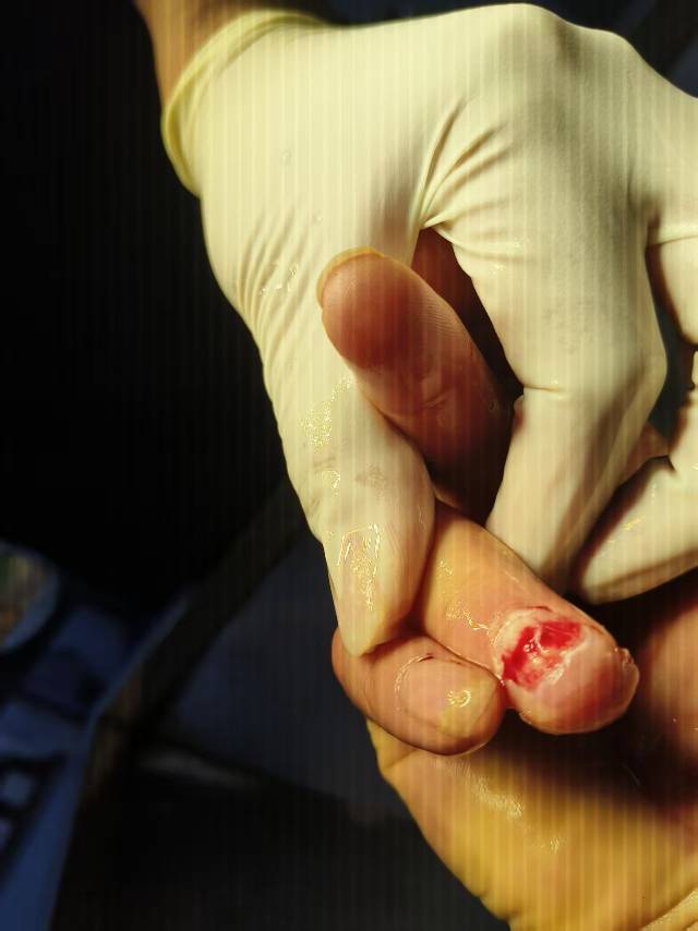 齐鲁晚报网-山东新闻门户 传播品质资讯