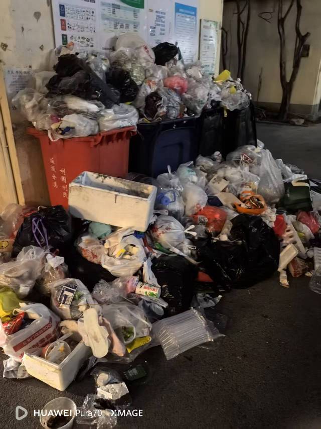 齐鲁晚报网-山东新闻门户 传播品质资讯