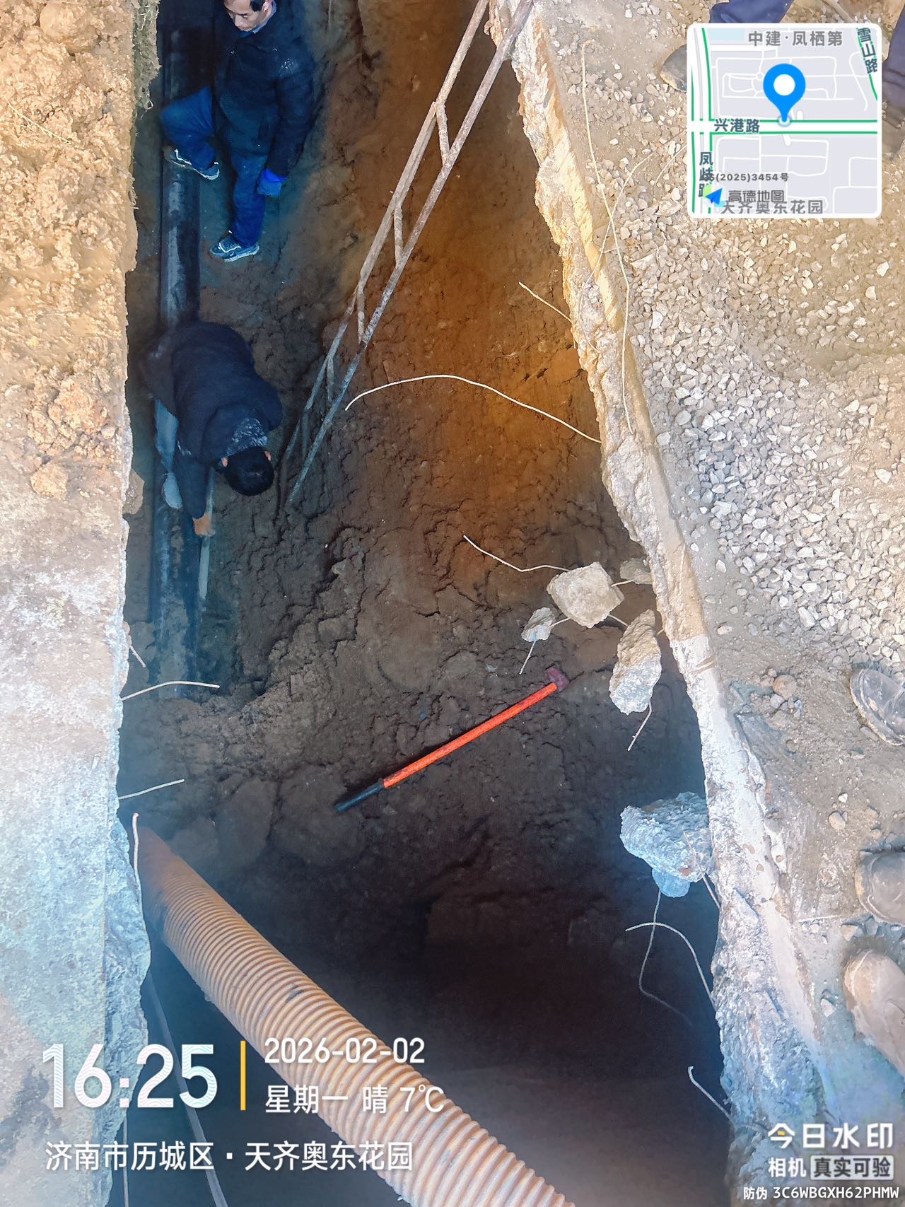 齐鲁晚报网-山东新闻门户 传播品质资讯