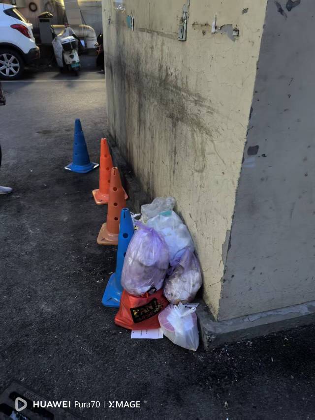 齐鲁晚报网-山东新闻门户 传播品质资讯