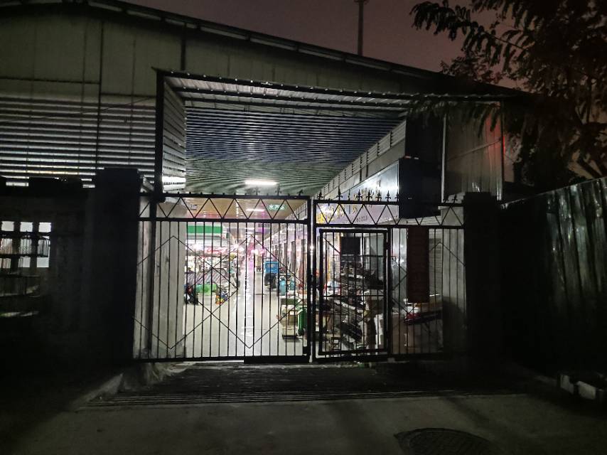 齐鲁晚报网-山东新闻门户 传播品质资讯