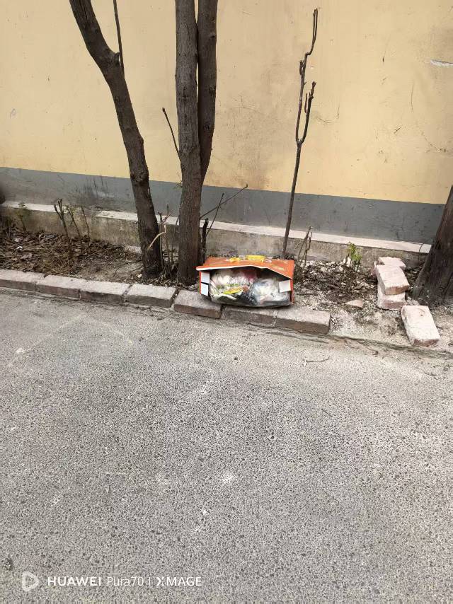 齐鲁晚报网-山东新闻门户 传播品质资讯