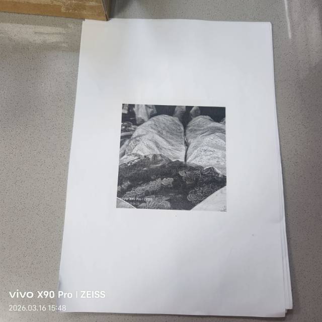 齐鲁晚报网-山东新闻门户 传播品质资讯