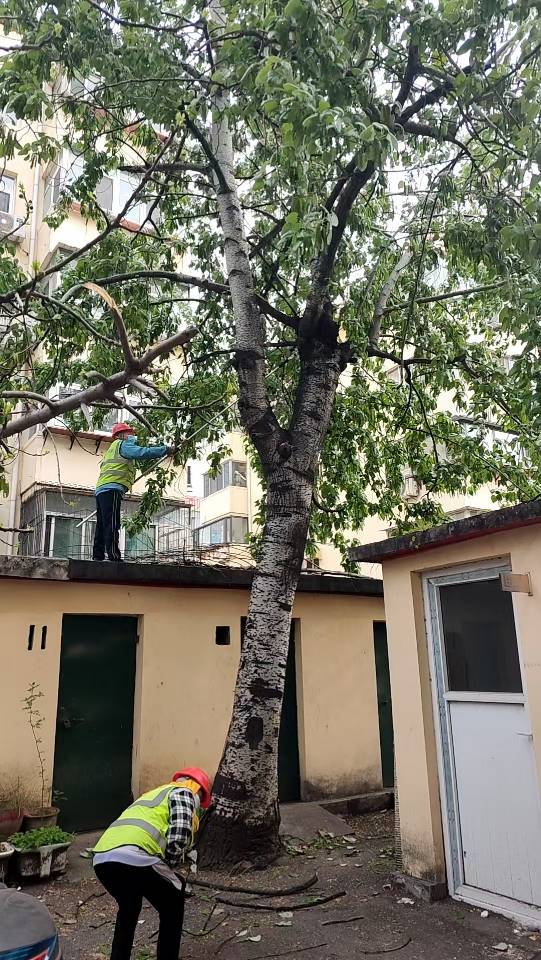 齐鲁晚报网-山东新闻门户 传播品质资讯