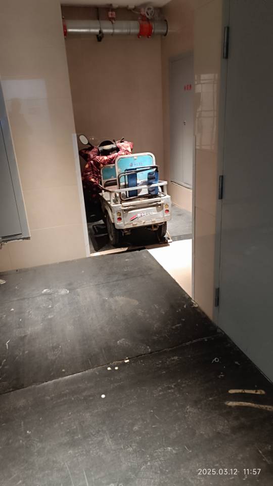 齐鲁晚报网-山东新闻门户 传播品质资讯