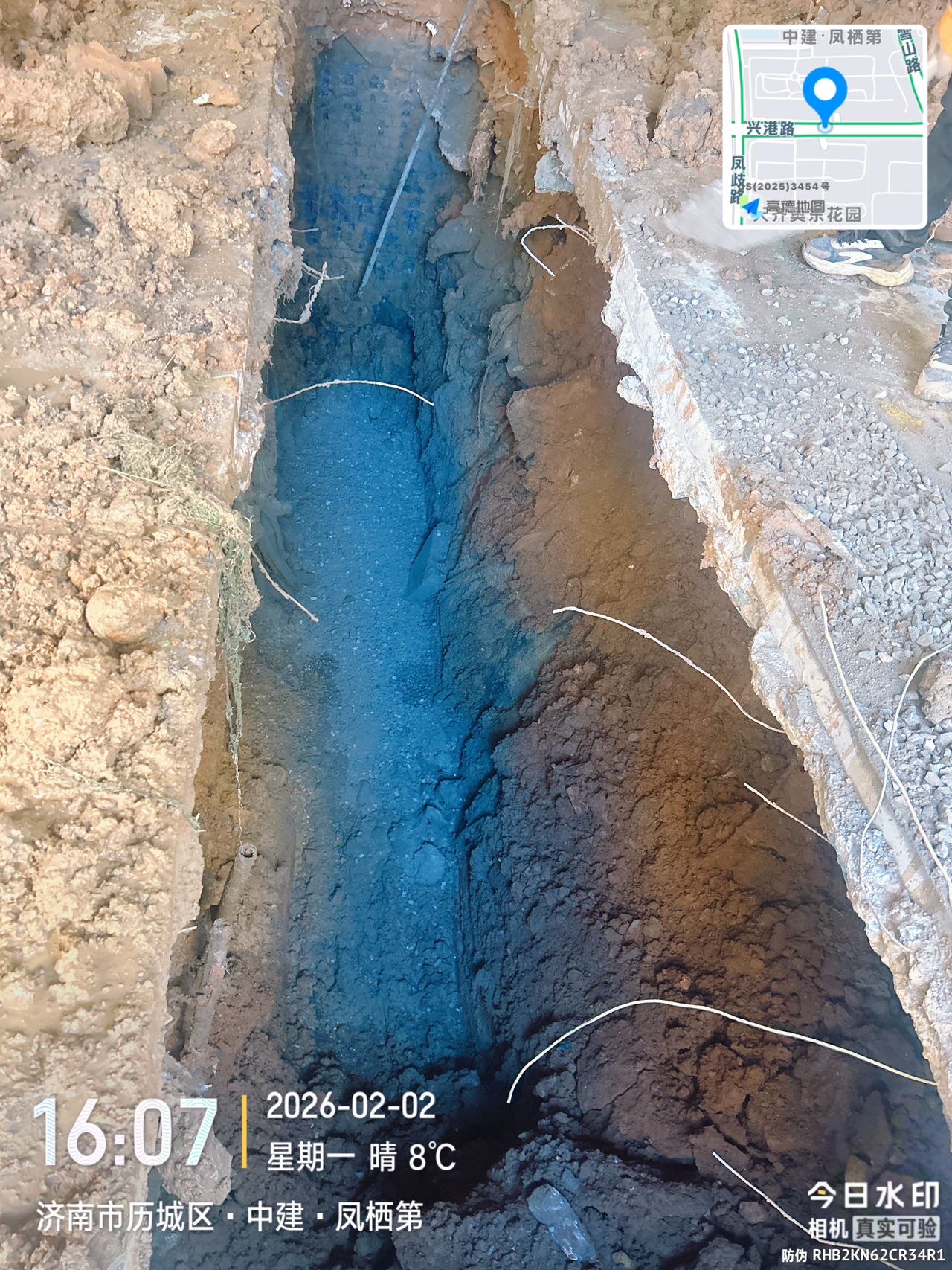 齐鲁晚报网-山东新闻门户 传播品质资讯