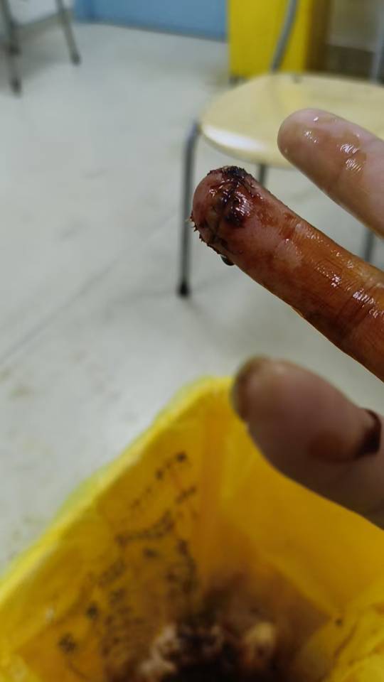 齐鲁晚报网-山东新闻门户 传播品质资讯