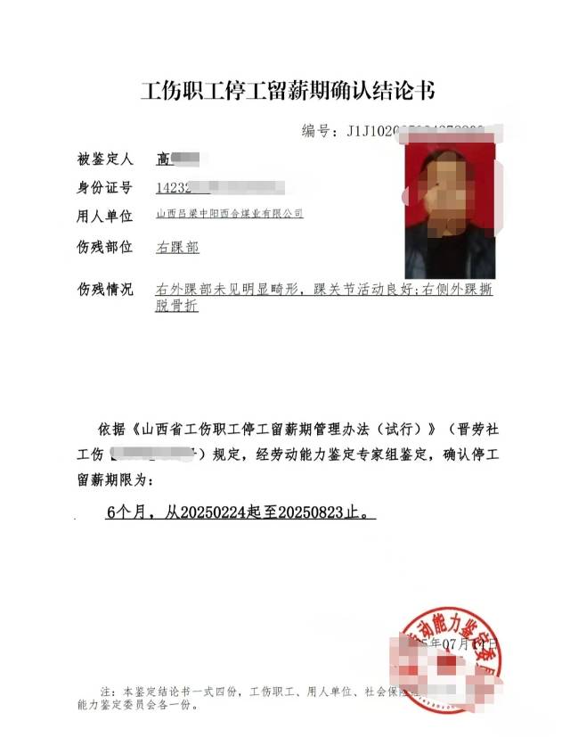 齐鲁晚报网-山东新闻门户 传播品质资讯