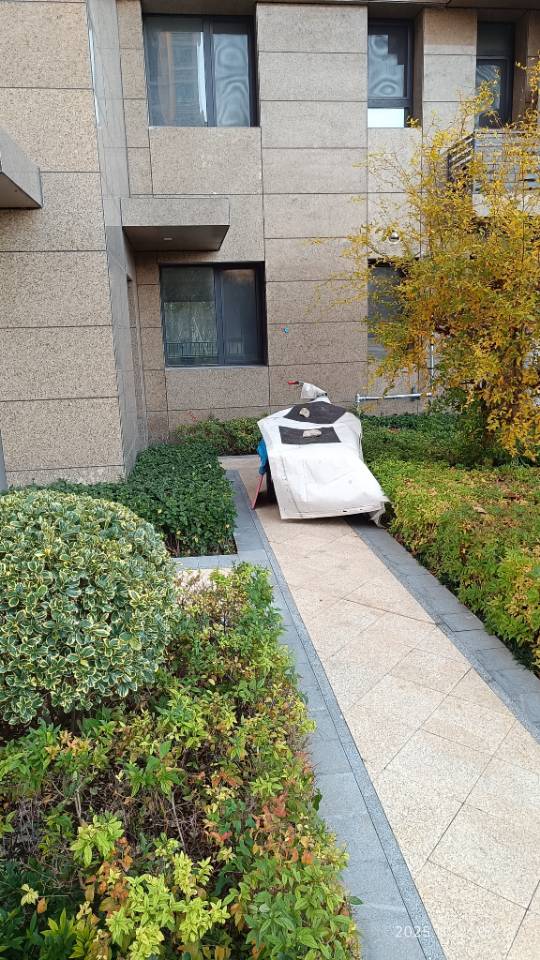 齐鲁晚报网-山东新闻门户 传播品质资讯