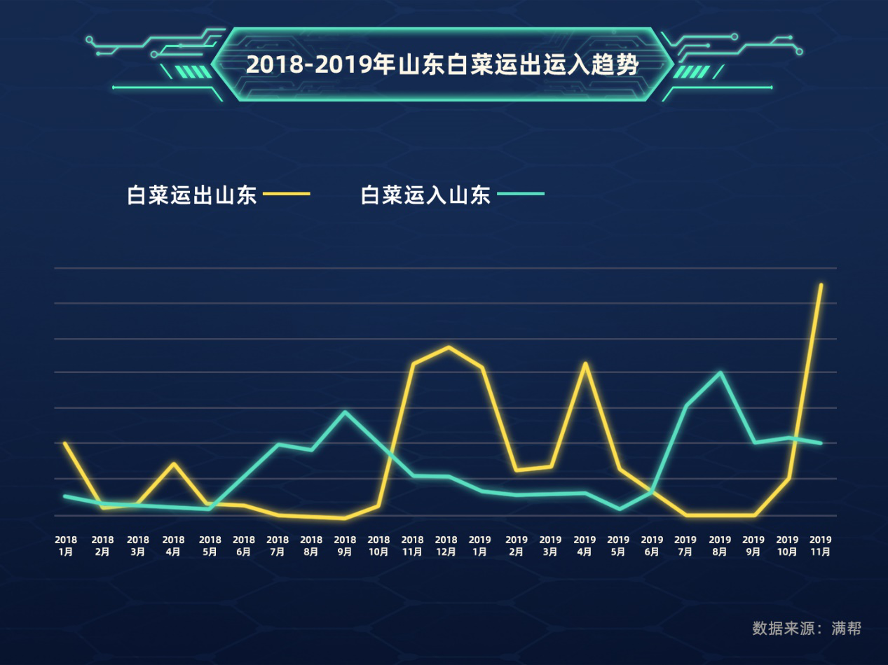 「齐鲁壹点」韩国泡菜危机让青岛菜农笑了？最大意外是救了张家口大白菜的急！