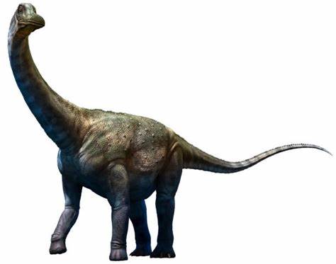 与南方巨像龙同时期地点的"巨型南极龙(antarctosaurus giganteus